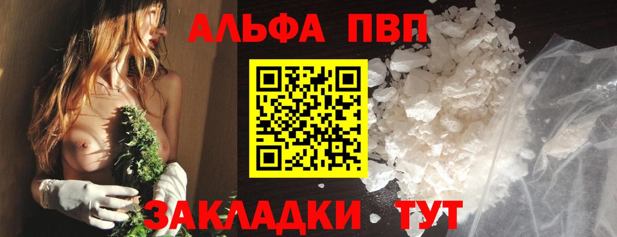 Альфа ПВП СК Йошкар-Ола