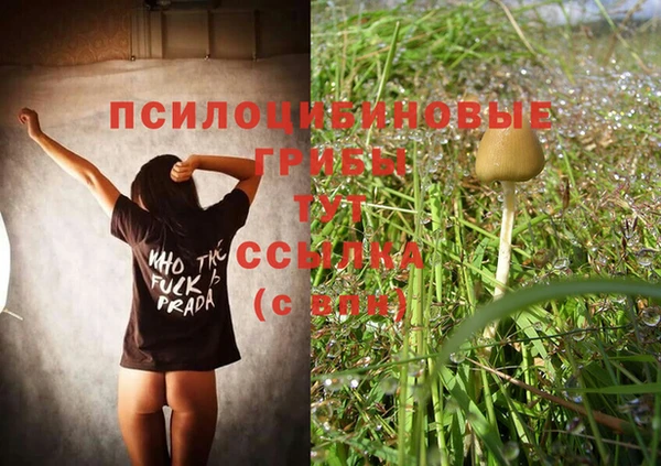 героин Алзамай