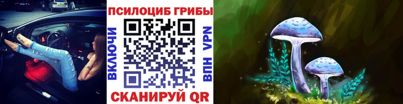 Псилоцибиновые грибы Magic Shrooms  наркошоп  Йошкар-Ола 