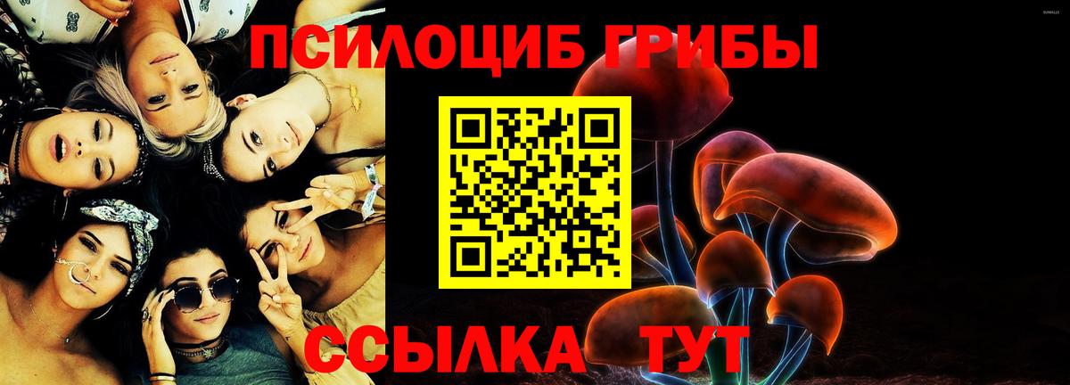 купить наркотик  Псилоцибиновые грибы Magic Shrooms  Вход с VPN  Йошкар-Ола 